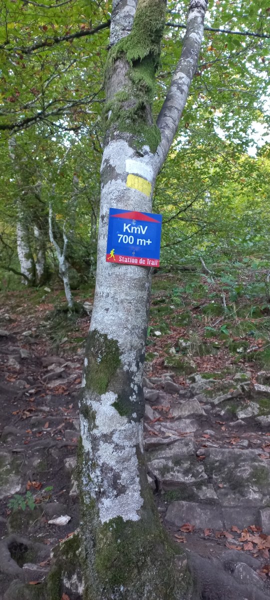 Beriain (1493m) Kilometro Bertikala