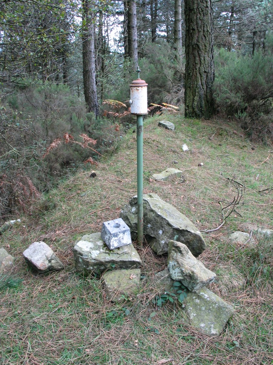 Txartelontzia