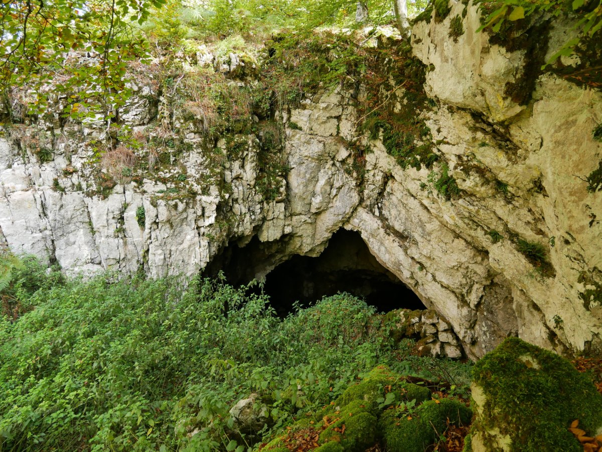 Aparein koba: hiru sarrera