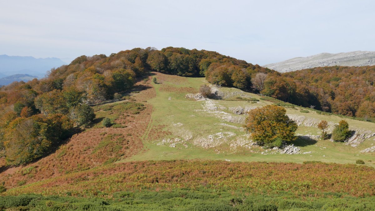 Oregigaña Aparein aldetik.
