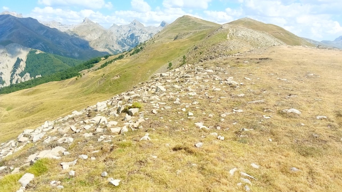 Txamatxoia (1941m) gainaldeko larreak