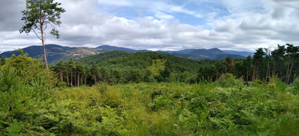 Ikuspegia Ermitabizkarretik