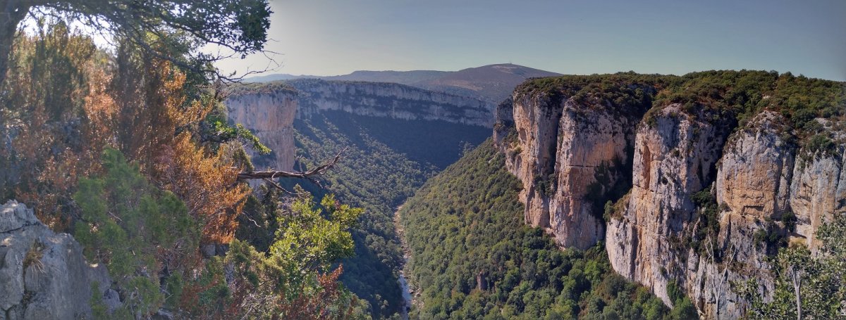 Arbaiungo arroila, Trancasko bidetik