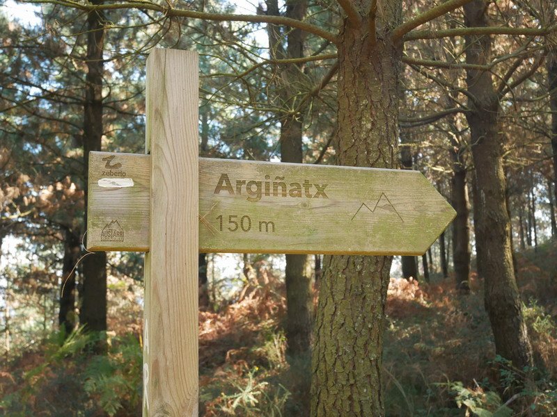 Argiñaoko Atxera doan bidearen seinalea ipar-mendebaldeko lepoan