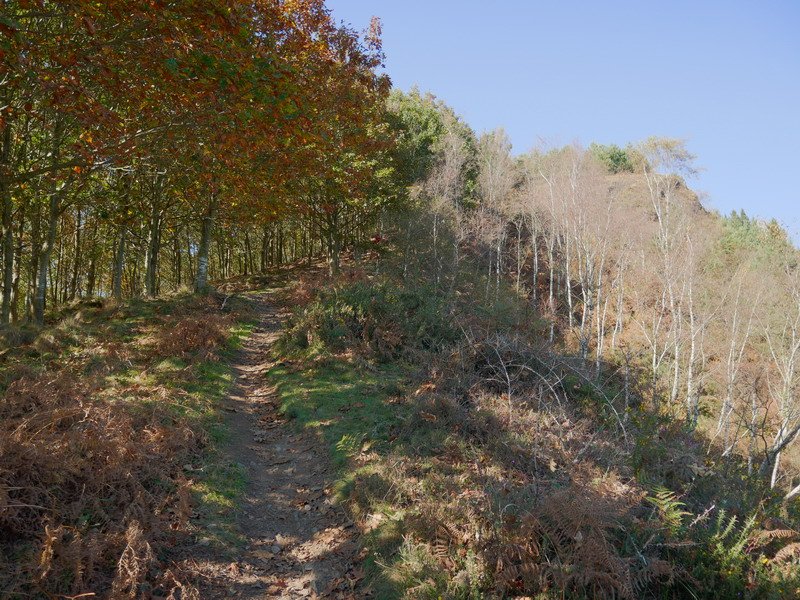 Mandoiara hego-ekialdetik igotzen den bidea