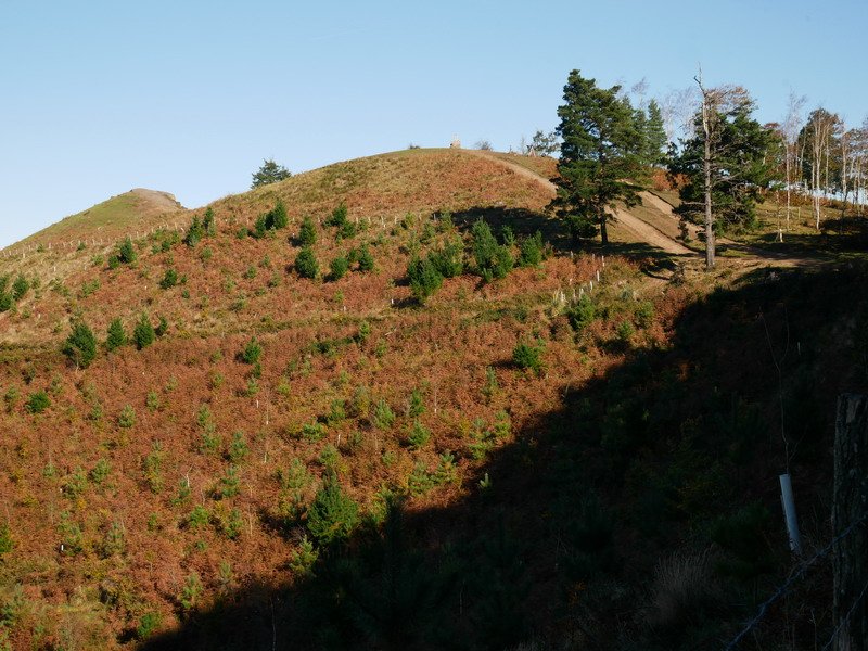 Mendebadeko bizkarretik ikusita