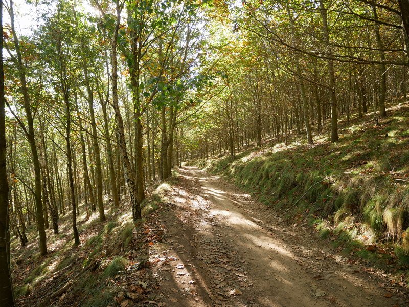 Mandoiatik hego-mendebalderantz jaisten den bidea