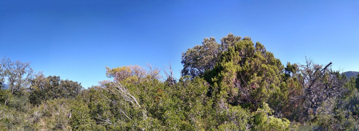 Vedadilloko gailurra