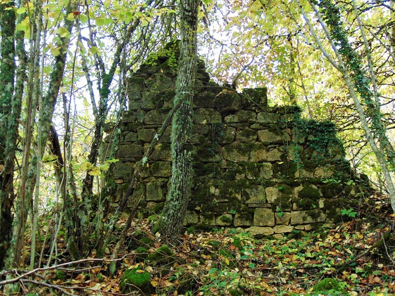 San Martin Elizaren Hondakinak