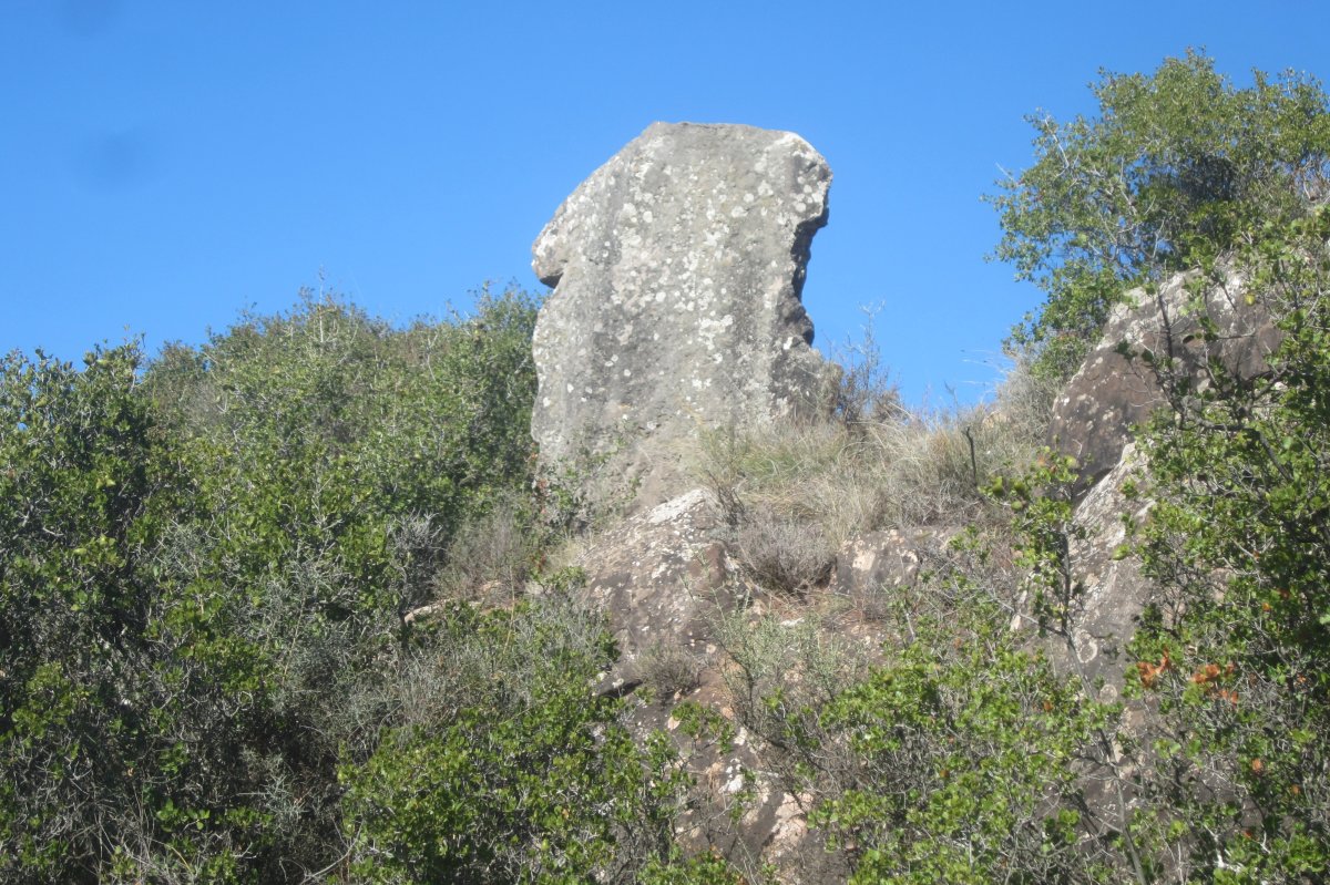 Monolito Multibizkar (Octubre 2021)