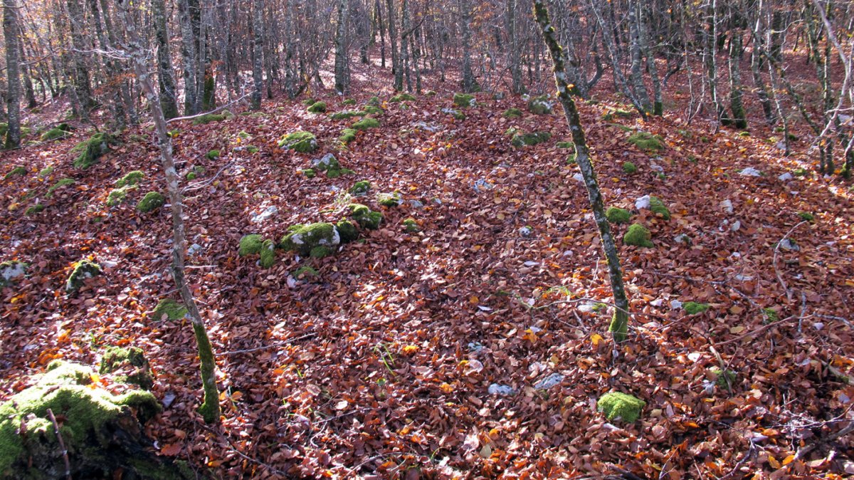 Puerto Viejo de Baquedano tumulua, Ameskoako Limitazioak