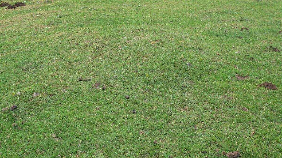 Alto Rincon de Urbasa 2 ekialde tumulua, Urbasa