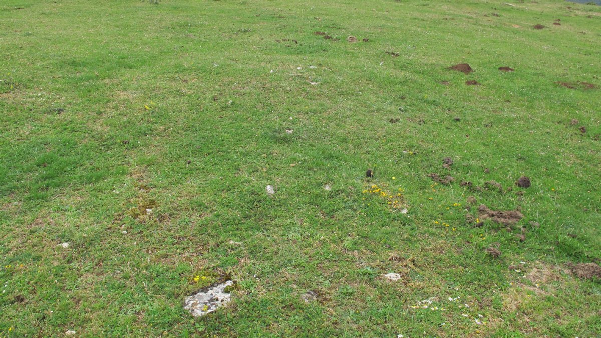 Alto Rincon de Urbasa 2 ekialde tumulua, Urbasa