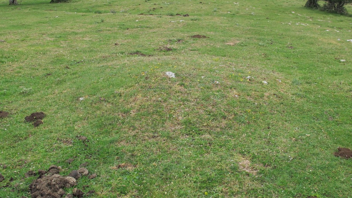 Alto Rincon de Urbasa 1 mendebal tumulua, Urbasa