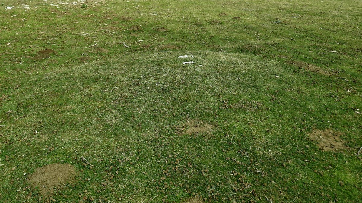 Camino de Arratondo Sur 2 tumulua, Ameskoako Limitazioak