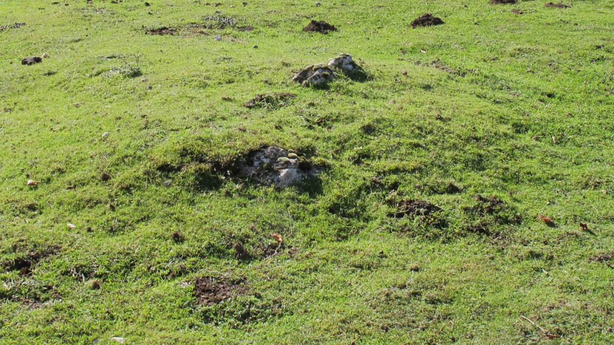 Chabola Ormazabal II tumulua, Ameskoako Limitazioak