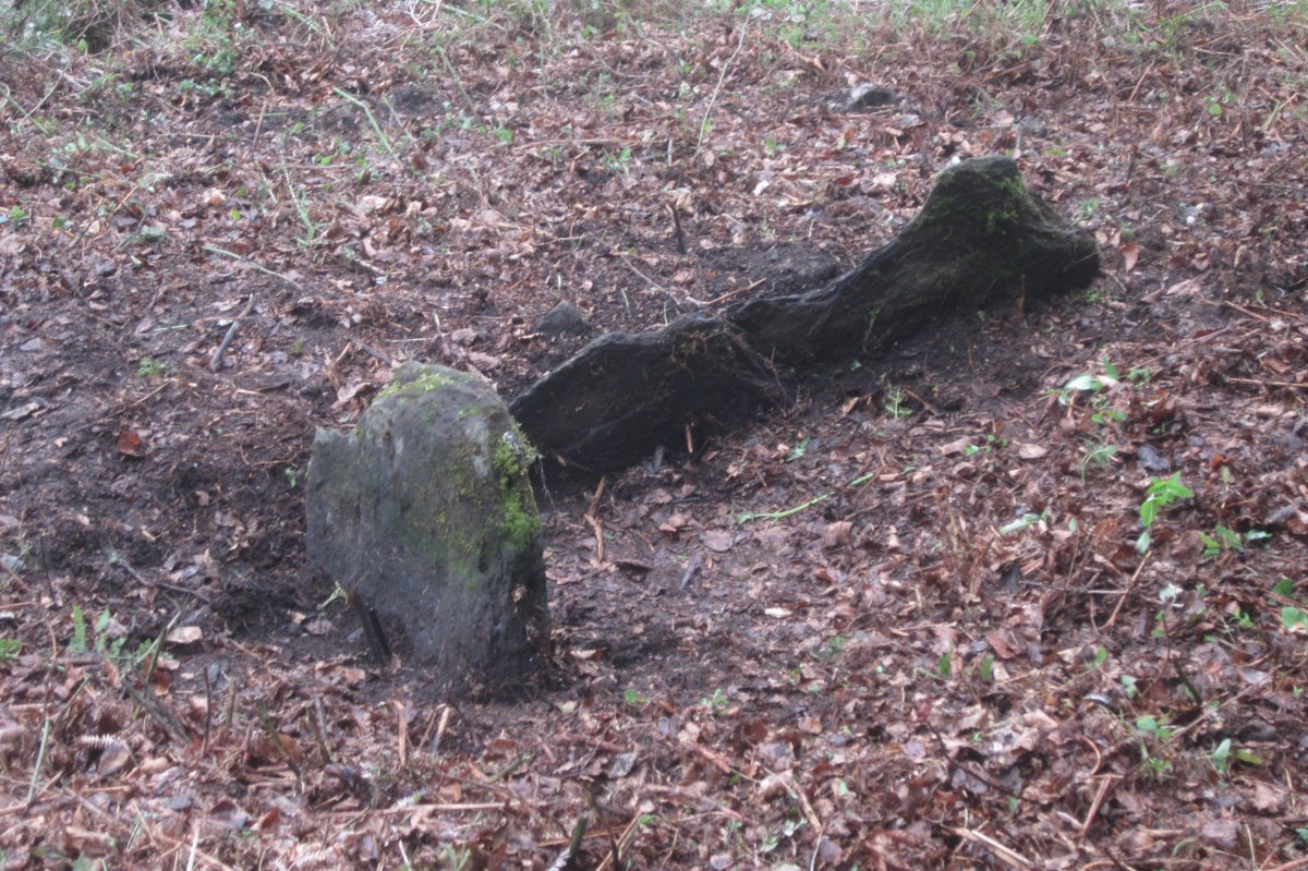 Dólmen Lizaso (Mayo 2021)