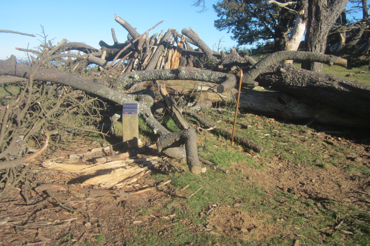Cromlechs Mandale (Diciembre 2021)