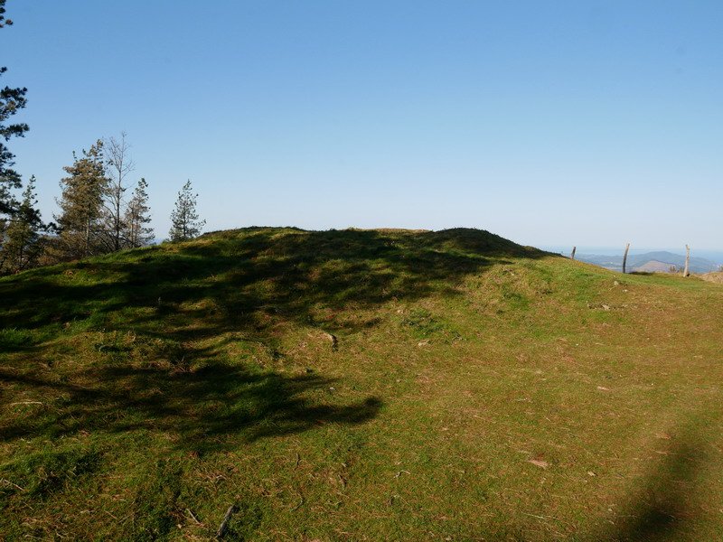 Diruzulo trikuharria