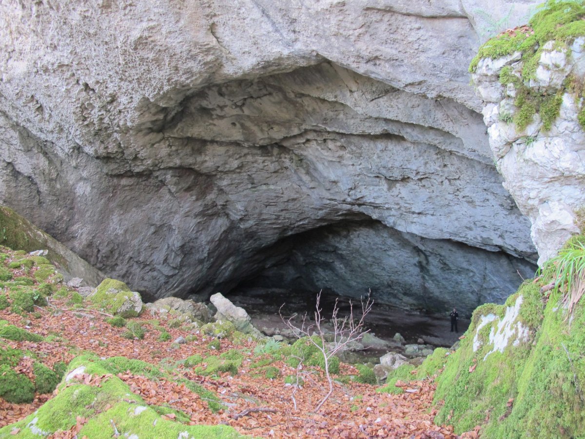 Amurutxateko Koba, Erregenea