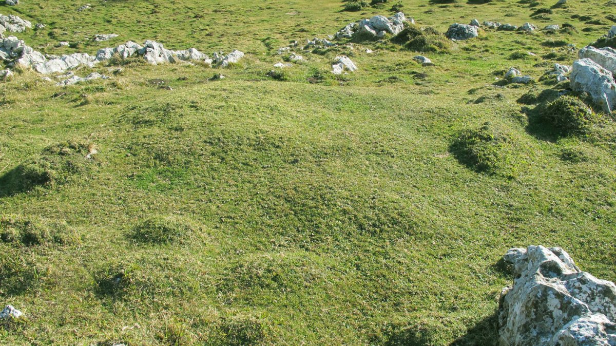 Iruzulo 2 ipar etxola hondoa, Erregenea