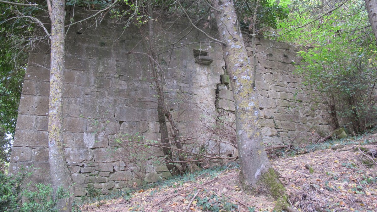 San Juan elizaren hondakinak, Nardoze Alduate