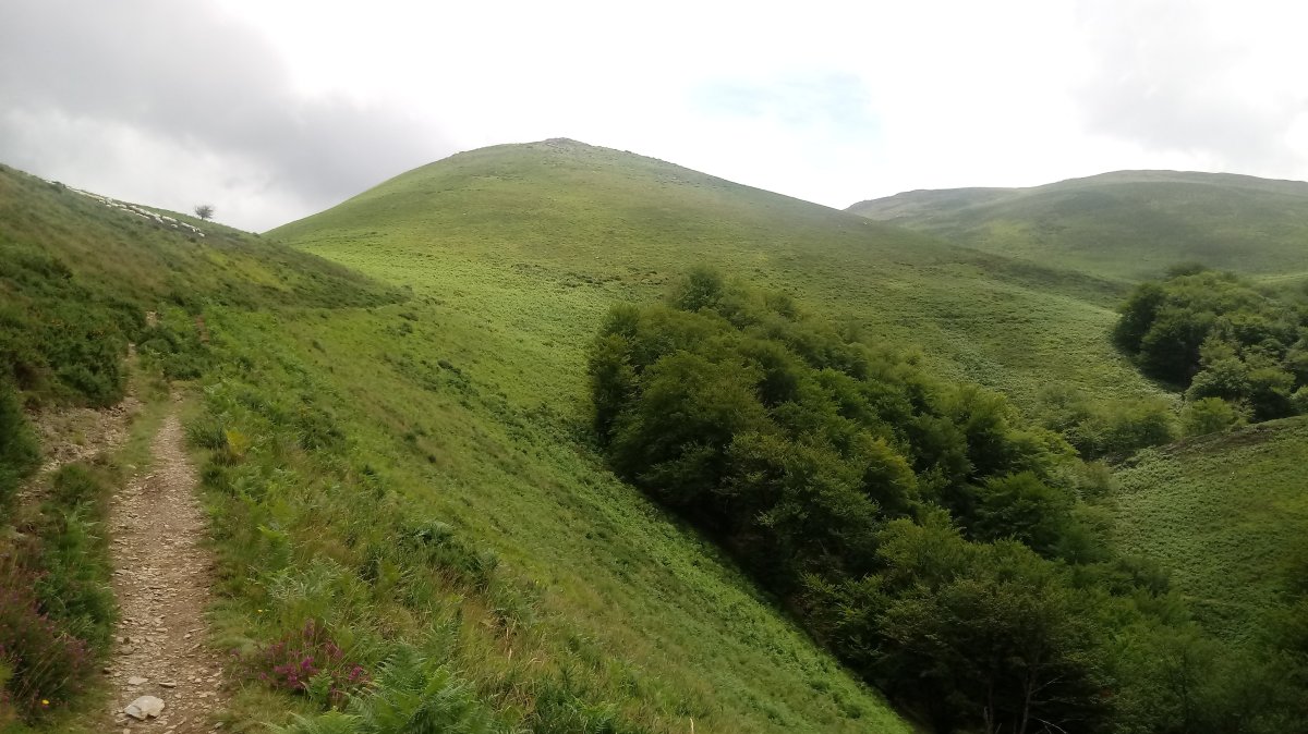 Aitzkoako bideko goialdean