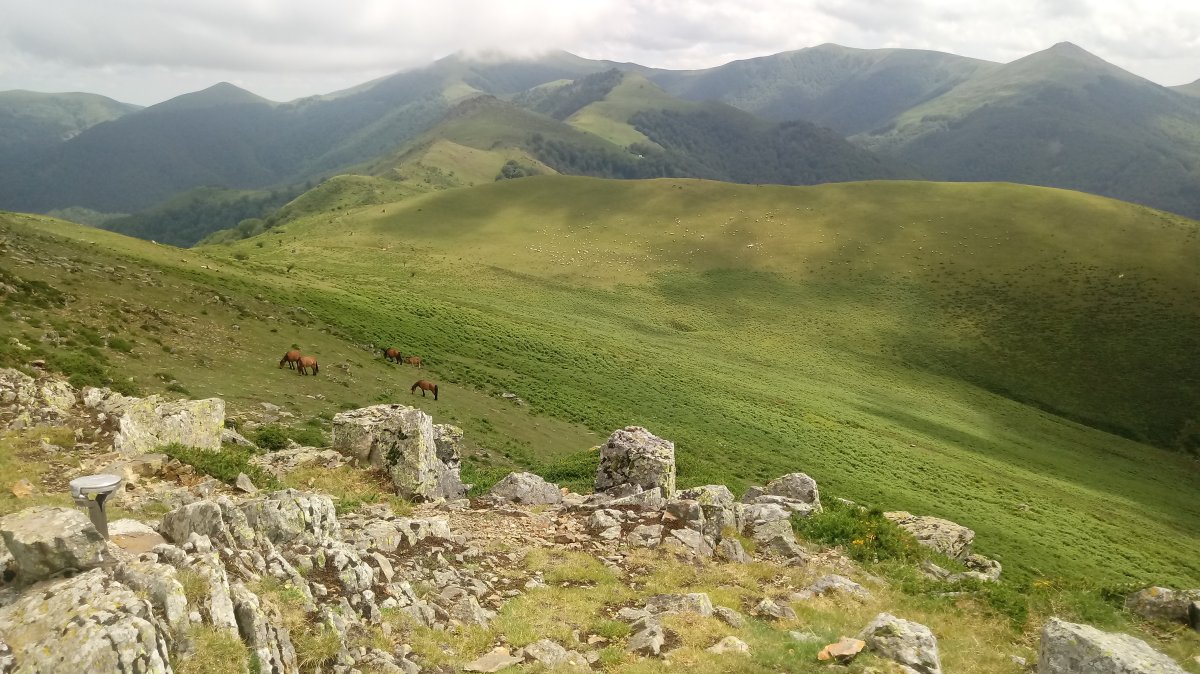 Abartan (1095m) zelaia eta Saioa alderako ikuspegia