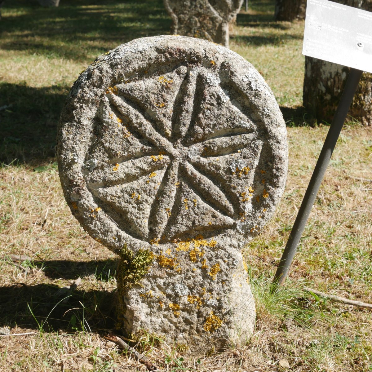 Aurizberriko hilarria