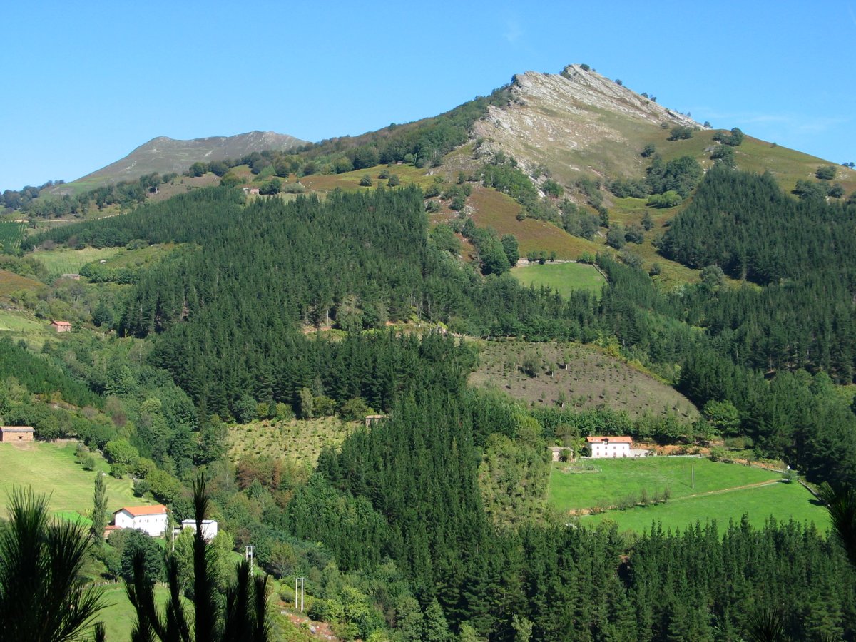 Oltzorrotz haitza HMtik