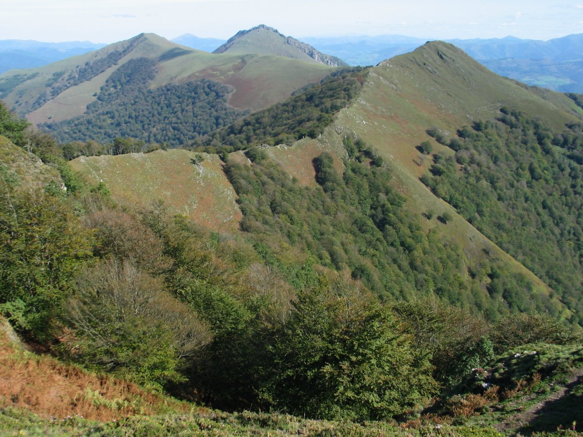 Arainburu aldetik ikusita, hondoan Mendaur eta Mendieder dituela