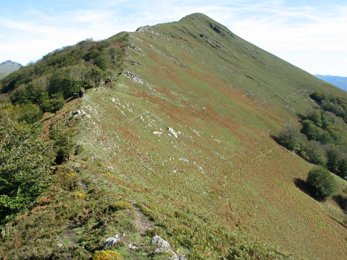 Mendebaldeko bizkarra