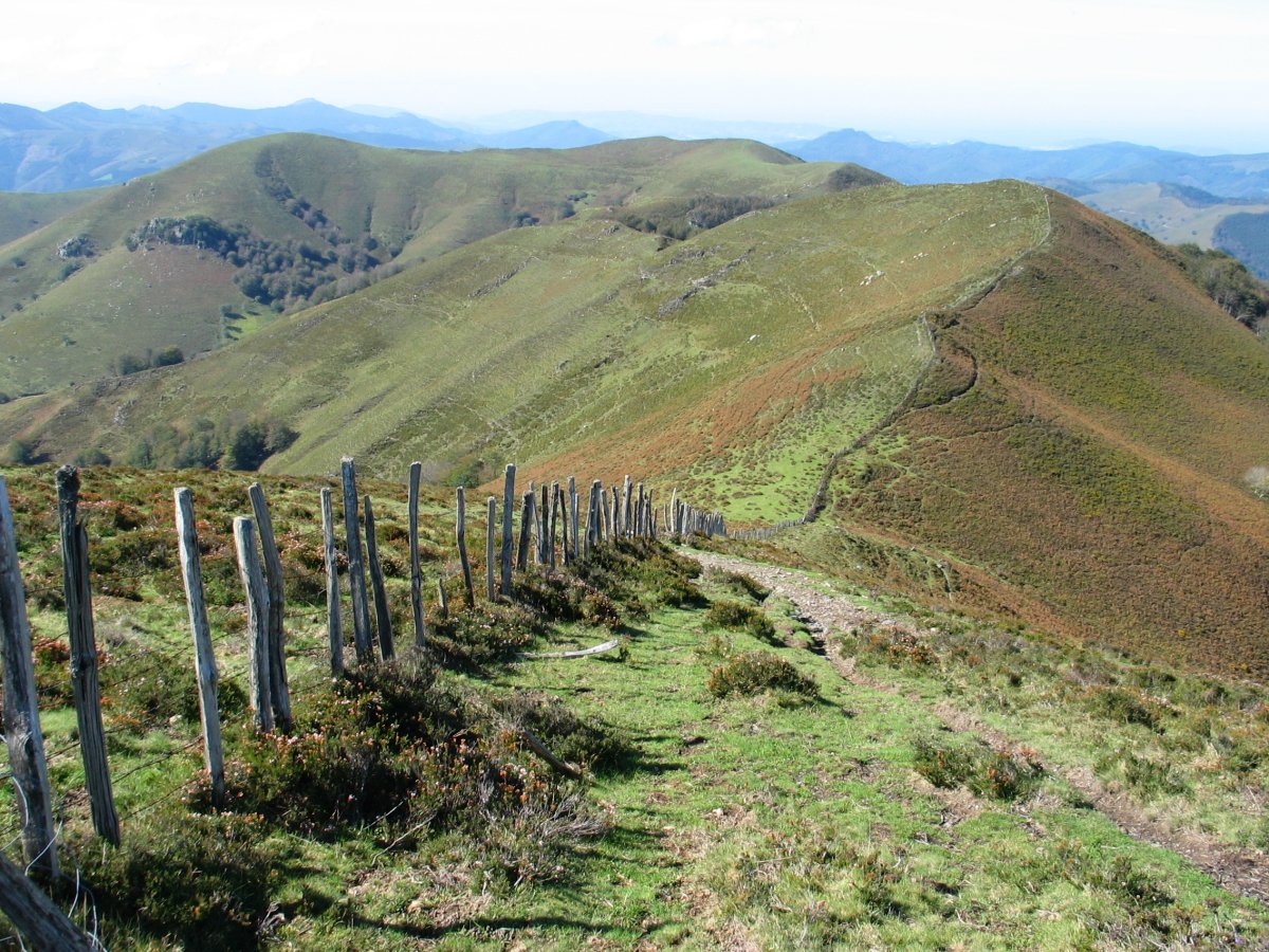 Mendebalderako ikuspegia