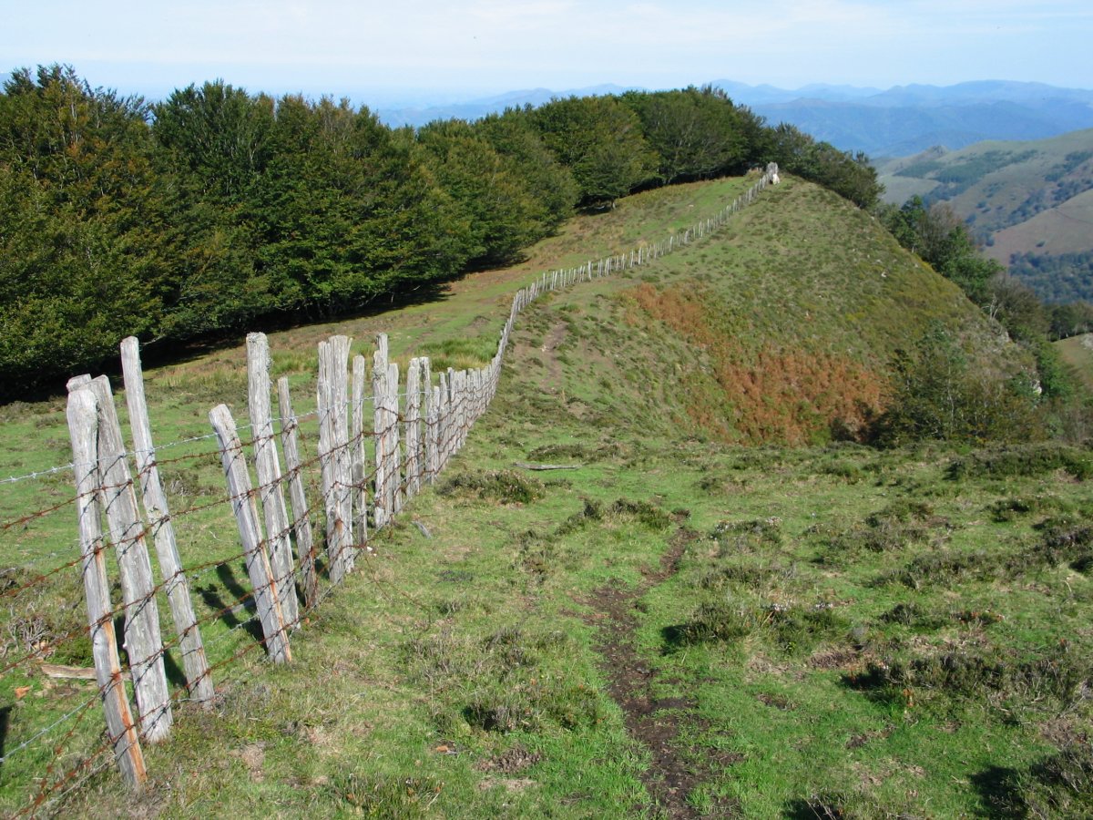 Artikutza inguratzen duen hesia, gandorrean zehar, Ekialdean
