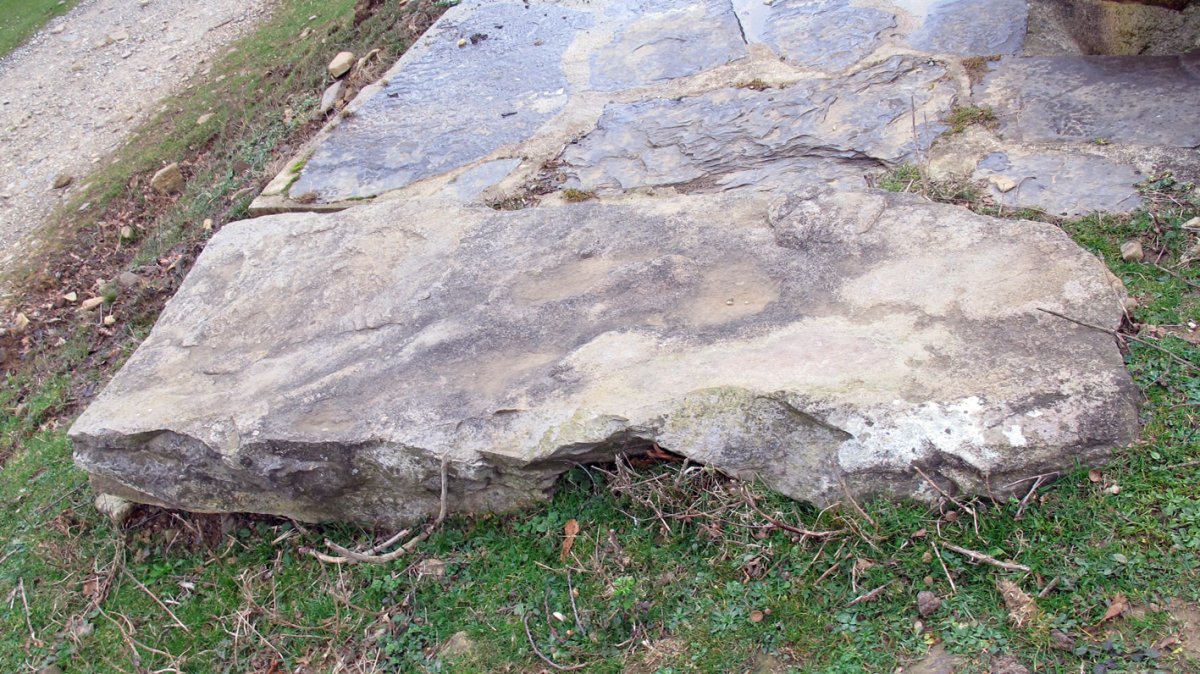 Trikuharriaren kamarako harri bat