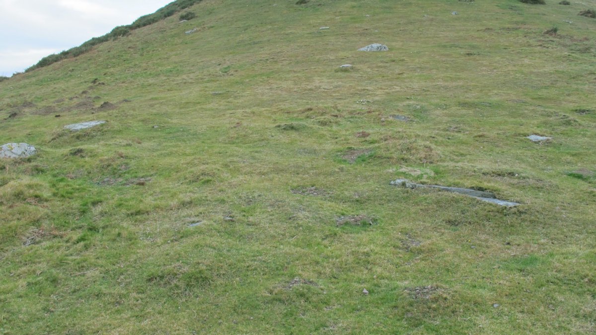 Urlegiko lepoa harrespila, Berroeta-Baztan