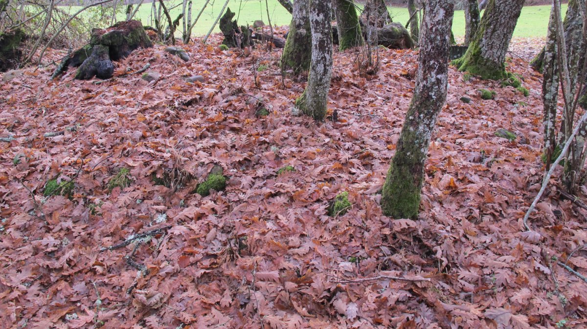 Juaremartzialde tumulua, Arriola-Asparrena