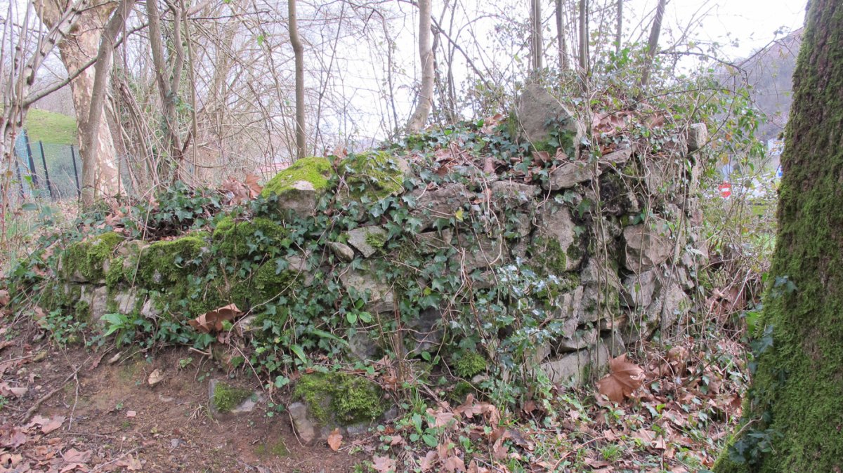 Etxenikeko Borda karobia, Bera