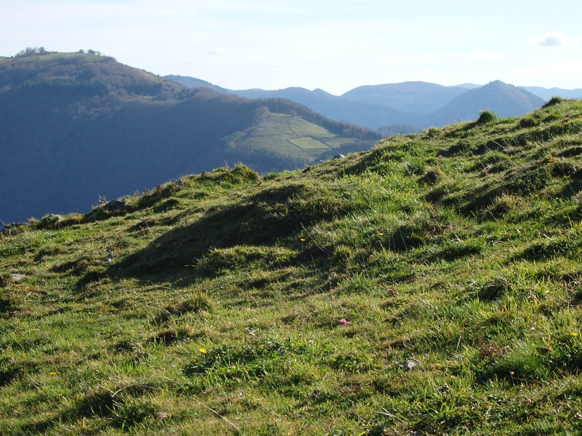 C. Tumular Kardaño T 1