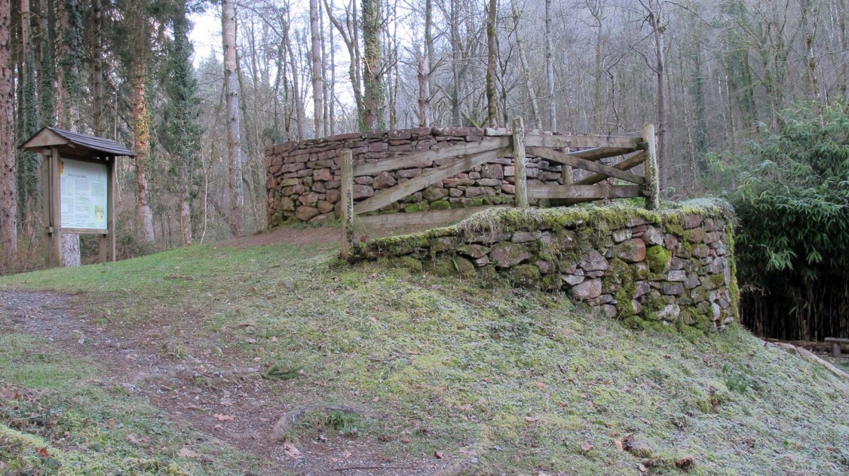 Kisulabea, Bertiz-Bertizarana