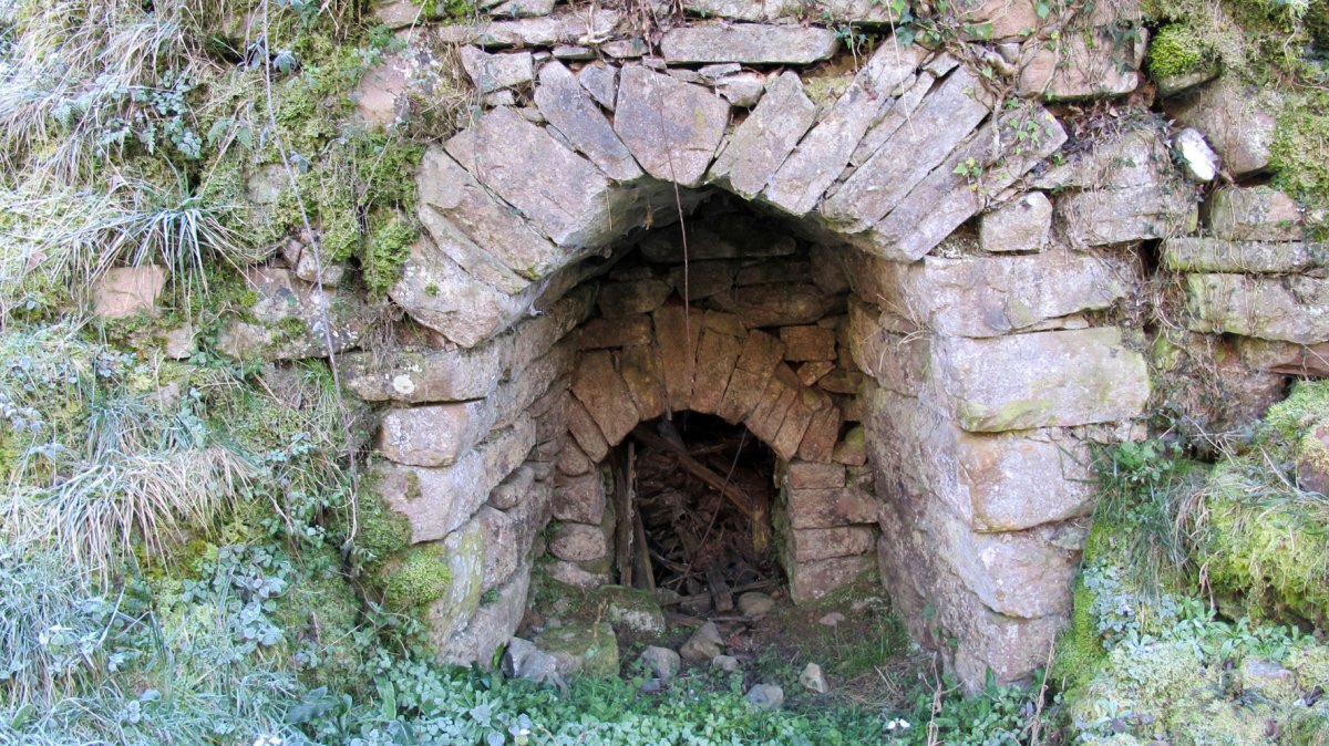 Ugaldea karobia, Arraioz-Baztan