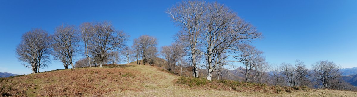 Lizartzeta, HEkialdeko bizkarretik