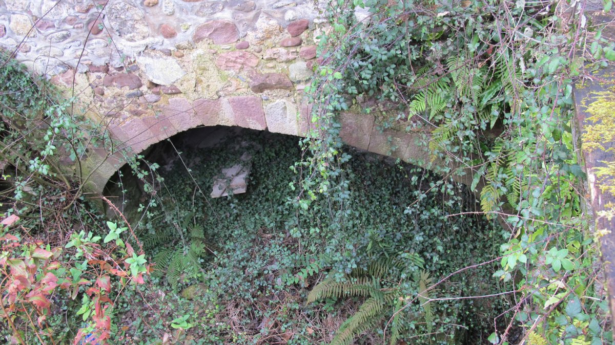 Errotazarra errota, Oronoz Mugairi-Baztan