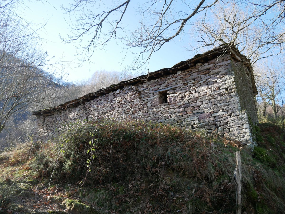 Borda, amiltzeko zorian