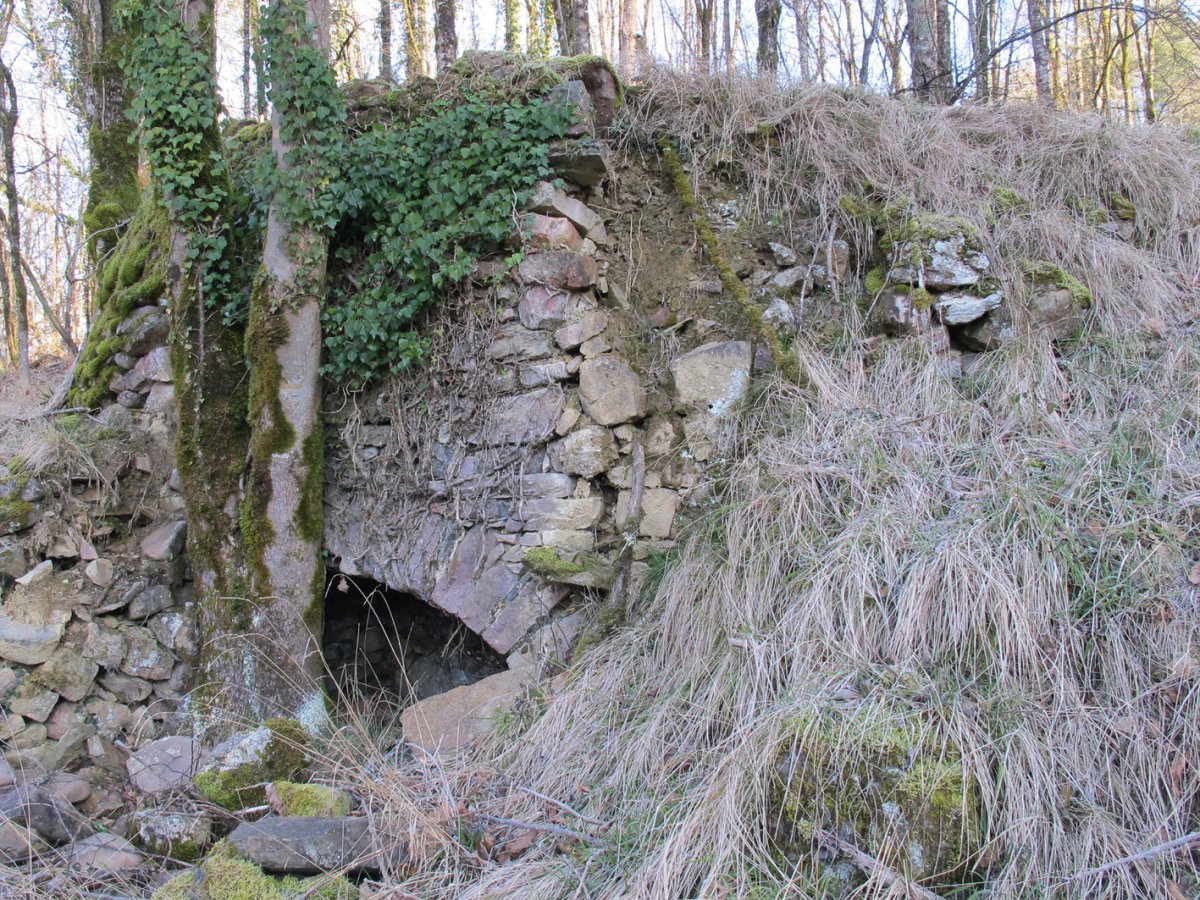 Aranea karobia, Bertiz-Bertizarana