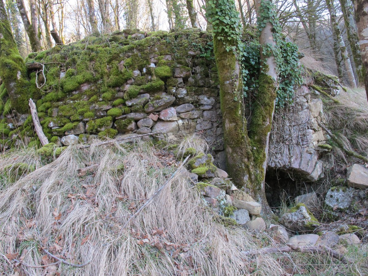 Aranea karobia, Bertiz-Bertizarana