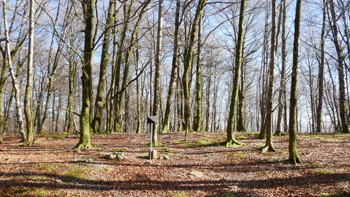 Iparraldeko bizkarreko  gain zabala