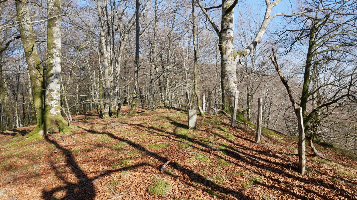 Mugarriak topatuko ditugu bizkarreko zeharkaldian