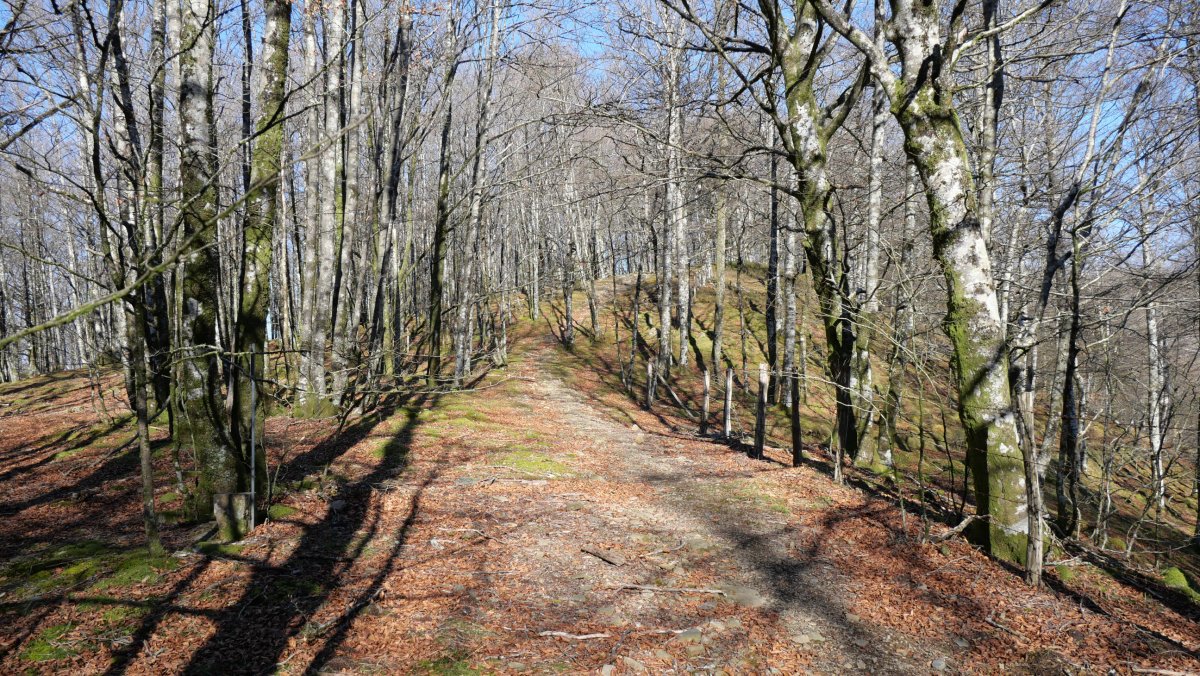 Bizkarreko bideko pasarte bat