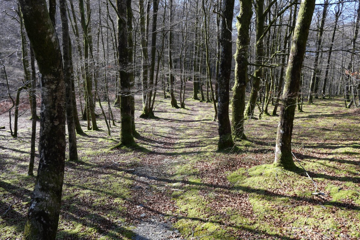 Intsusti gainetik Lexarburu aldera